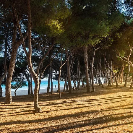 Mediterrania I By Esteva Emerald * Alcudia (Mallorca)
